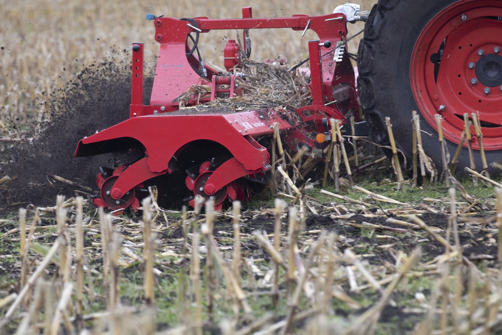 Imagen de WhatsApp 2023-11-29 a las 09.24.17_1da5be6d